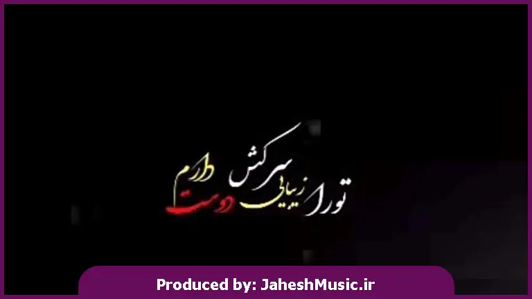 دانلود آهنگ تو را زیبای سرکش دوست دارم 